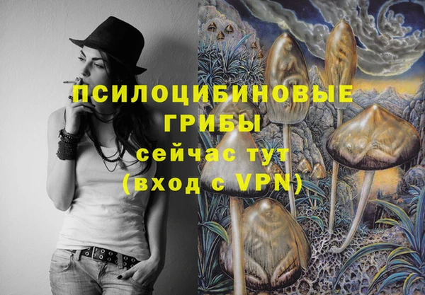 гидра Абдулино